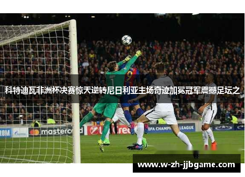 科特迪瓦非洲杯决赛惊天逆转尼日利亚主场奇迹加冕冠军震撼足坛之